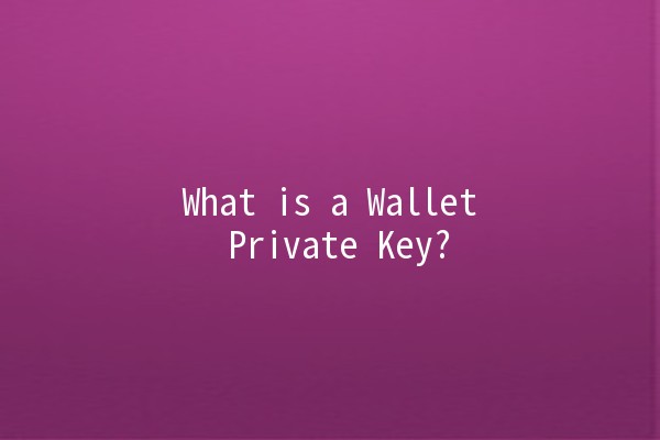 What is a Wallet Private Key? 🔑💼